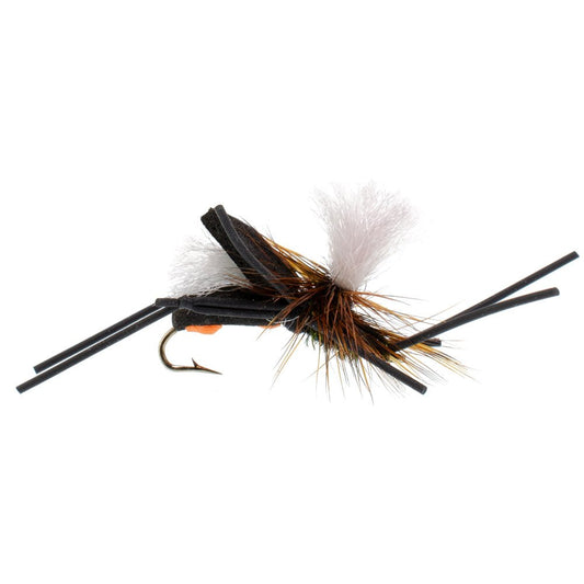 Basics Collection - Foam Hoppers Dry Fly Assortment 2 - 10 Dry Fishing Grasshopper Flies - 5 Patterns - Hook Size 10 - Hazy Fly Fishing