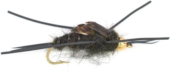 Basics Collection - Kaufmann's Black Stonefly Nymph Assortment - 10 Bead Head Rubber Legs Wet Flies - 2 Each Hook Sizes 4, 6, 8, 10, and 12 - Hazy Fly Fishing