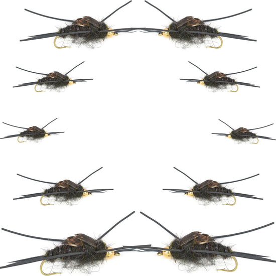 Basics Collection - Kaufmann's Black Stonefly Nymph Assortment - 10 Bead Head Rubber Legs Wet Flies - 2 Each Hook Sizes 4, 6, 8, 10, and 12 - Hazy Fly Fishing