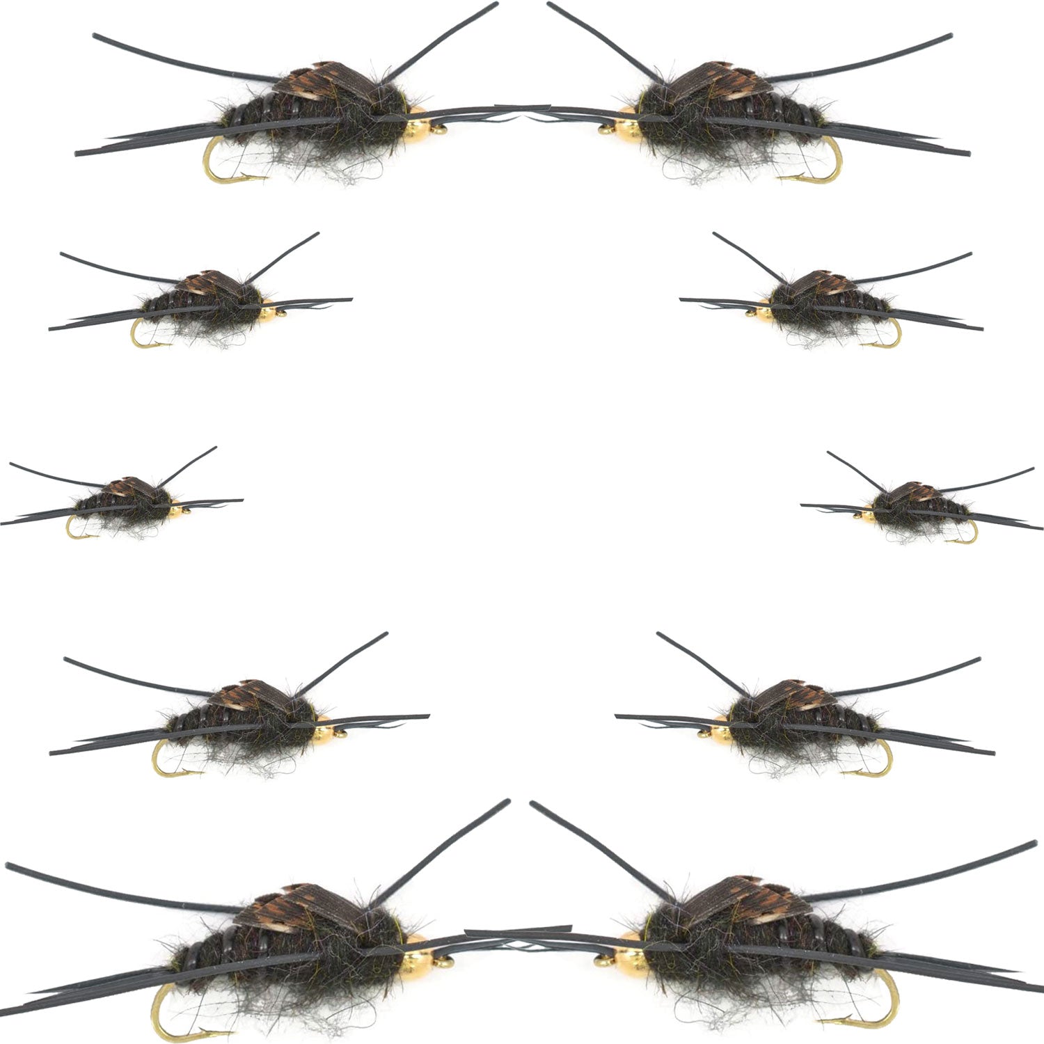 Basics Collection - Kaufmann's Black Stonefly Nymph Assortment - 10 Bead Head Rubber Legs Wet Flies - 2 Each Hook Sizes 4, 6, 8, 10, and 12 - Hazy Fly Fishing