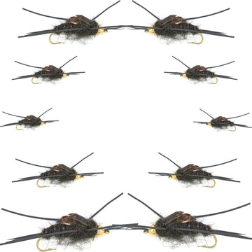 Basics Collection - Kaufmann's Black Stonefly Nymph Assortment - 10 Bead Head Rubber Legs Wet Flies - 2 Each Hook Sizes 4, 6, 8, 10, and 12 - Hazy Fly Fishing