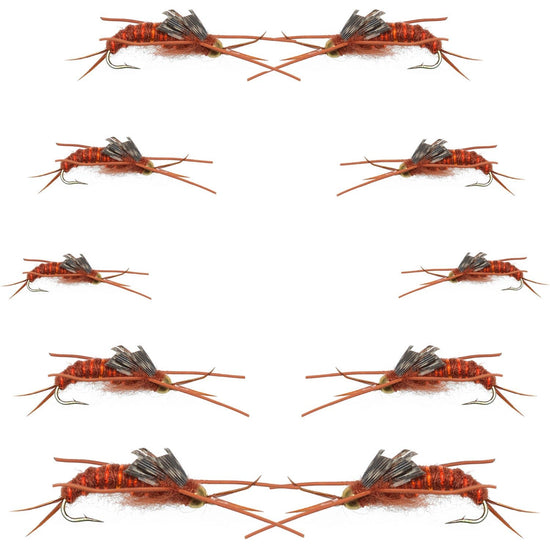 Basics Collection - Kaufmann's Brown Stonefly Nymph Assortment 10 Bead Head Rubber Legs Wet Flies - Hook Sizes 6, 8, 10, and 12 - Hazy Fly Fishing