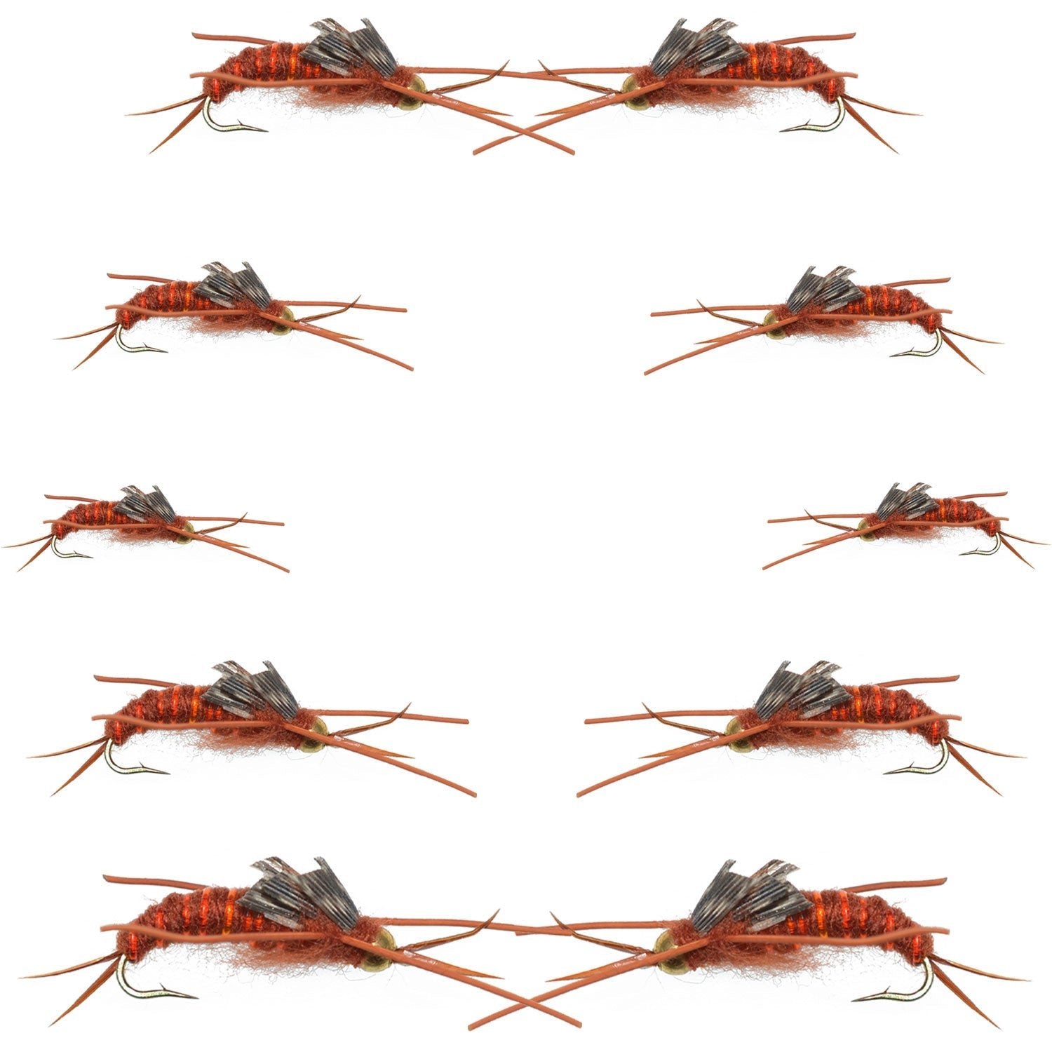 Basics Collection - Kaufmann's Brown Stonefly Nymph Assortment 10 Bead Head Rubber Legs Wet Flies - Hook Sizes 6, 8, 10, and 12 - Hazy Fly Fishing