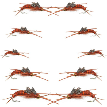 Basics Collection - Kaufmann's Brown Stonefly Nymph Assortment 10 Bead Head Rubber Legs Wet Flies - Hook Sizes 6, 8, 10, and 12 - Hazy Fly Fishing