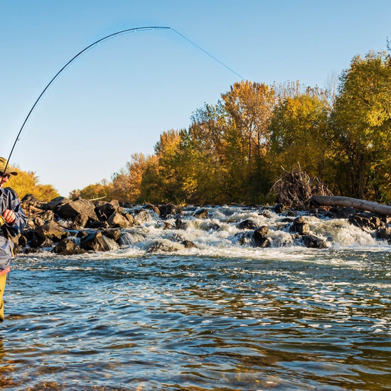 Basics Collection - Kaufmann's Brown Stonefly Nymph Assortment 10 Bead Head Rubber Legs Wet Flies - Hook Sizes 6, 8, 10, and 12 - Hazy Fly Fishing