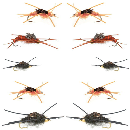 Basics Collection - Kaufmann's Tungsten Bead Stonefly Nymph Assortment - 10 Bead Head Rubber Legs Wet Flies - 5 Patterns - Hook Sizes 4, 6, 8, 10, and 12 - Hazy Fly Fishing