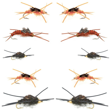 Basics Collection - Kaufmann's Tungsten Bead Stonefly Nymph Assortment - 10 Bead Head Rubber Legs Wet Flies - 5 Patterns - Hook Sizes 4, 6, 8, 10, and 12 - Hazy Fly Fishing