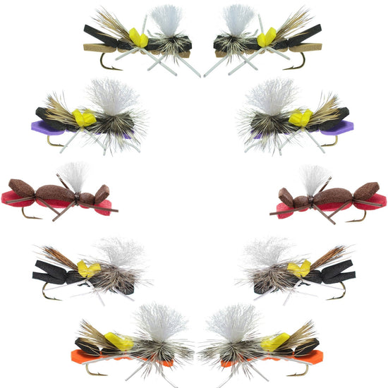 Basics Collection - Parachute Chernobyl Ant Foam Dry Fly Assortment - 10 Dry Fishing Grasshopper Dropper Flies - 5 Patterns - Hook Size 10 - Hazy Fly Fishing