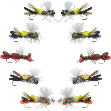 Basics Collection - Parachute Chernobyl Ant Foam Dry Fly Assortment - 10 Dry Fishing Grasshopper Dropper Flies - 5 Patterns - Hook Size 10 - Hazy Fly Fishing