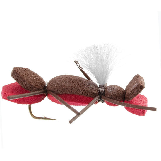 Basics Collection - Parachute Chernobyl Ant Foam Dry Fly Assortment - 10 Dry Fishing Grasshopper Dropper Flies - 5 Patterns - Hook Size 10 - Hazy Fly Fishing