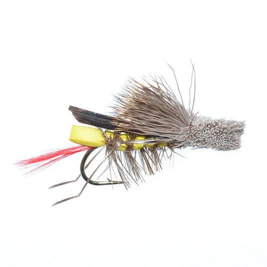 Basics Collection - Terrestrials Dry Fly Assortment - 10 Dry Fishing Flies - Hopper, Ant and Beetle Fishing Fly Patterns - Hook Sizes 10, 12 and 14 - Hazy Fly Fishing