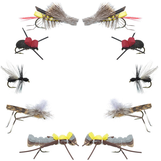 Basics Collection - Terrestrials Dry Fly Assortment - 10 Dry Fishing Flies - Hopper, Ant and Beetle Fishing Fly Patterns - Hook Sizes 10, 12 and 14 - Hazy Fly Fishing