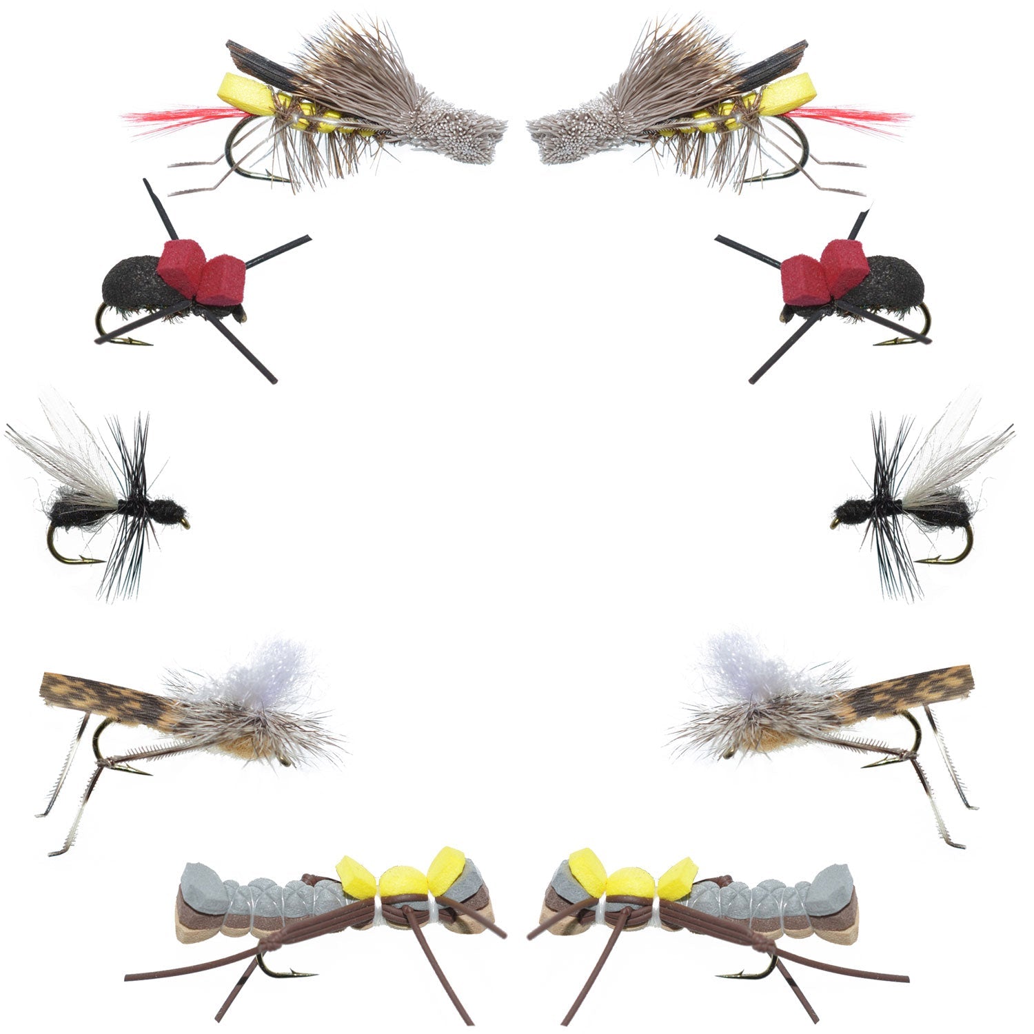 Basics Collection - Terrestrials Dry Fly Assortment - 10 Dry Fishing Flies - Hopper, Ant and Beetle Fishing Fly Patterns - Hook Sizes 10, 12 and 14 - Hazy Fly Fishing