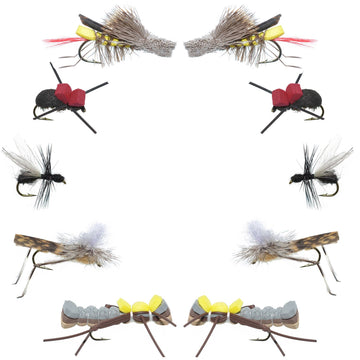 Basics Collection - Terrestrials Dry Fly Assortment - 10 Dry Fishing Flies - Hopper, Ant and Beetle Fishing Fly Patterns - Hook Sizes 10, 12 and 14 - Hazy Fly Fishing