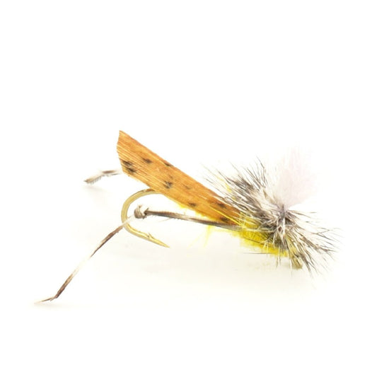 Basics Collection - Terrestrials Dry Fly Assortment - 10 Dry Fishing Flies - Hopper, Ant and Beetle Fishing Fly Patterns - Hook Sizes 10, 12 and 14 - Hazy Fly Fishing