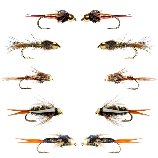 Basics Collection - Tungsten Bead Head Nymph Assortment - 10 Wet Flies - 5 Patterns - Hook Sizes 10, 12, 14, 16 - Hazy Fly Fishing