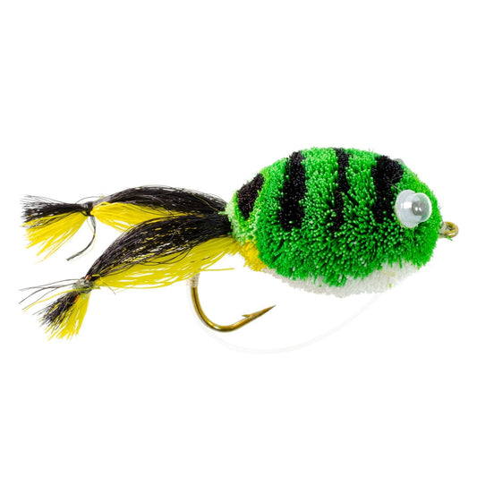 Bass Bug Collection - 24 Bass Fly Fishing Flies - Surface Poppers Frog, Rat, Mouse And Divers - Hook Sizes 2,4, 6, 8 - Hazy Fly Fishing