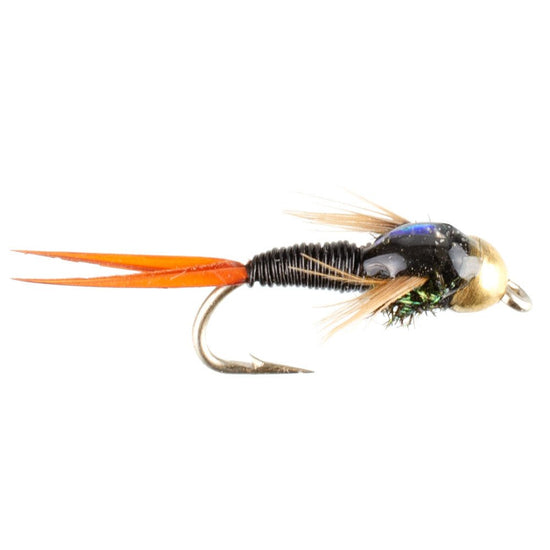 Bead Head Black Copper John Nymph Fly Fishing Flies - Set of 6 Flies Hook Size 16 - Hazy Fly Fishing
