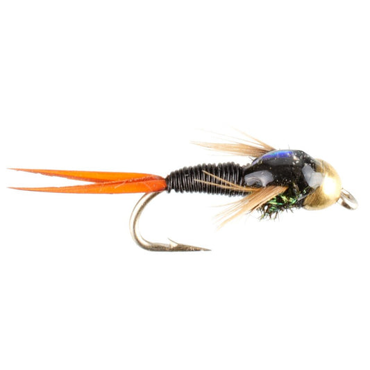 Bead Head Black Copper John Nymph Fly Fishing Flies - Set of 6 Flies Hook Size 16 - Hazy Fly Fishing