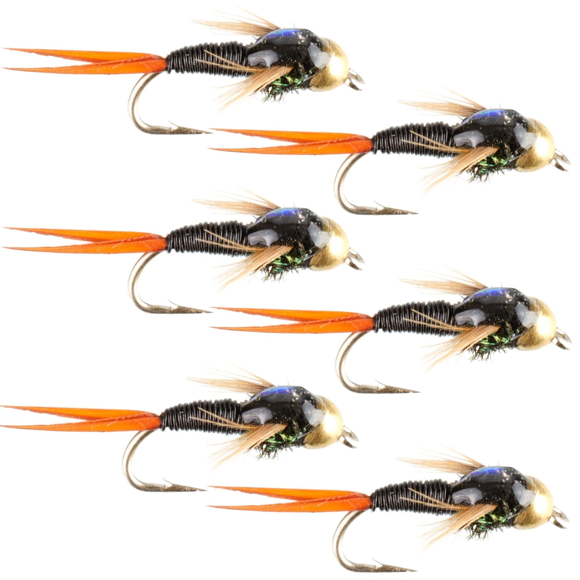 Bead Head Black Copper John Nymph Fly Fishing Flies - Set of 6 Flies Hook Size 16 - Hazy Fly Fishing
