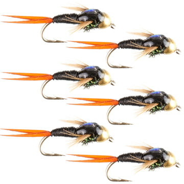Bead Head Black Copper John Nymph Fly Fishing Flies - Set of 6 Flies Hook Size 16 - Hazy Fly Fishing