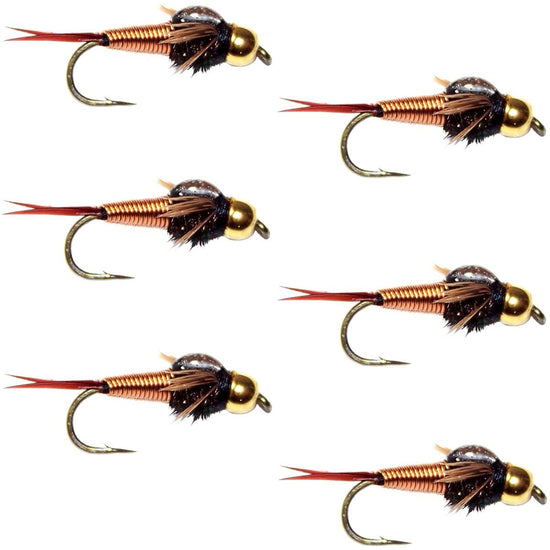 Bead Head Copper John Nymph Fly Fishing Flies - Set of 6 Flies Hook Size 12 - Hazy Fly Fishing