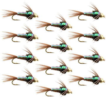 Bead Head Flash Back Pheasant Tail Nymph 1 Dozen Fly Fishing Flies Size 14 - Hazy Fly Fishing