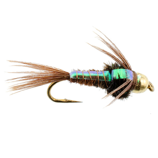 Bead Head Flash Back Pheasant Tail Nymph Fly Fishing Flies - 6 Flies Hook Size 12 - Hazy Fly Fishing