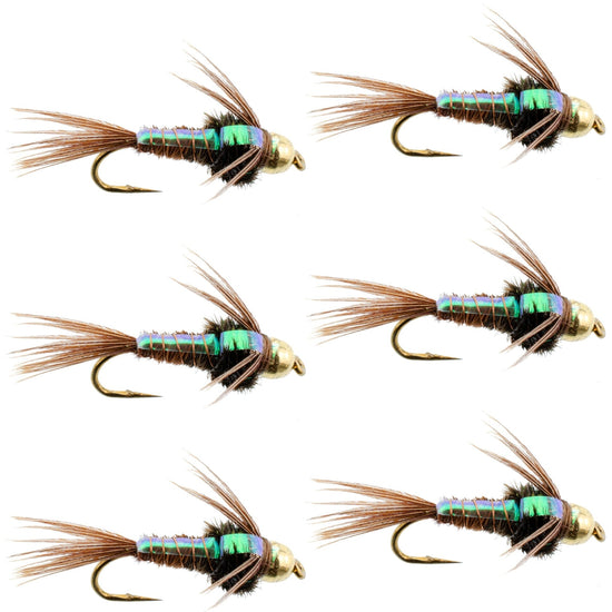 Bead Head Flash Back Pheasant Tail Nymph Fly Fishing Flies - 6 Flies Hook Size 12 - Hazy Fly Fishing