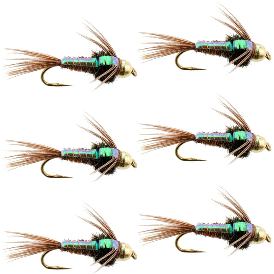 Bead Head Flash Back Pheasant Tail Nymph Fly Fishing Flies - 6 Flies Hook Size 14 - Hazy Fly Fishing