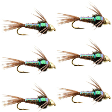 Bead Head Flash Back Pheasant Tail Nymph Fly Fishing Flies - 6 Flies Hook Size 14 - Hazy Fly Fishing