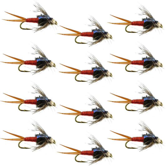 Bead Head Hot Orange Copper John Nymph - 1 Dozen Fly Fishing Flies - Hook Size 10 - Hazy Fly Fishing