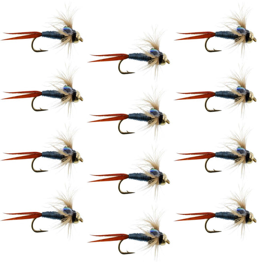 Bead Head Metallic Blue Copper John Nymph - 1 Dozen Fly Fishing Flies - Hook Size 12 - Hazy Fly Fishing