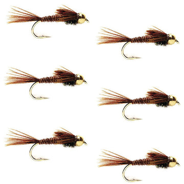 Bead Head Pheasant Tail Nymph Fly Fishing Flies - 6 Flies Hook Size 12 - Hazy Fly Fishing