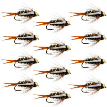 Bead Head Prince Nymph Fly Fishing Flies - 1 Dozen Flies Hook Size 16 - Hazy Fly Fishing