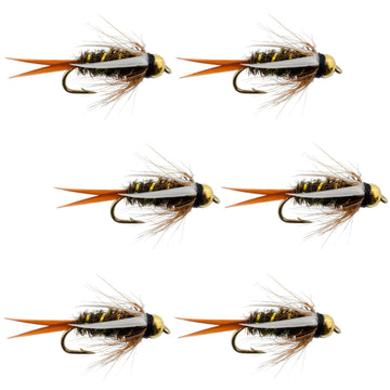 Bead Head Prince Nymph Fly Fishing Flies - Set of 6 Flies Hook Size 10 - Hazy Fly Fishing