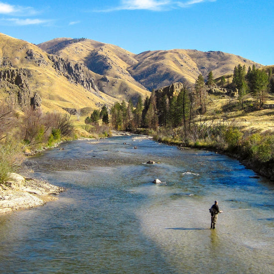 Bead Head Prince Nymph Fly Fishing Flies - Set of 6 Flies Hook Size 14 - Hazy Fly Fishing