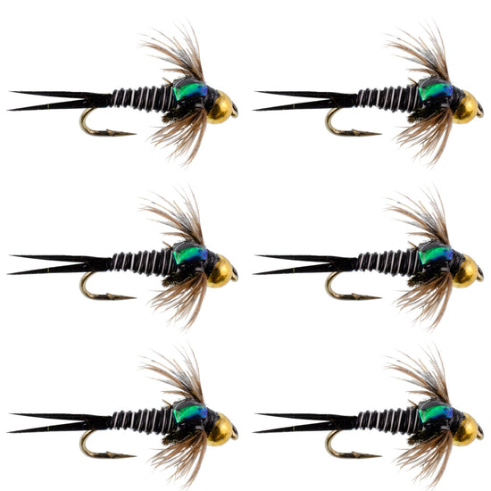Bead Head Zebra Copper John Nymph Fly Fishing Flies - Set of 6 Flies Hook Size 14 - Hazy Fly Fishing