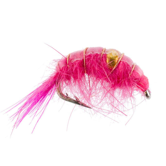Beaded Shrimp Scud Assortment - 9 Flies - 3 Each of 3 Patterns Size 12 - Tailwater Lake Fly Fishing Flies Collection - Hazy Fly Fishing
