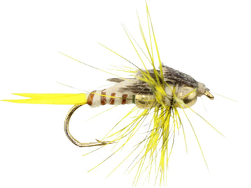 Beaded Stonefly, size 12 | Yellow | Qty. 6 | Wild Water Fly Fishing - Hazy Fly Fishing