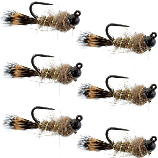 Black Tungsten Bead Tactical Hares Ear Czech Nymph Euro Nymphing Fly - 6 Flies Size 14 - Hazy Fly Fishing