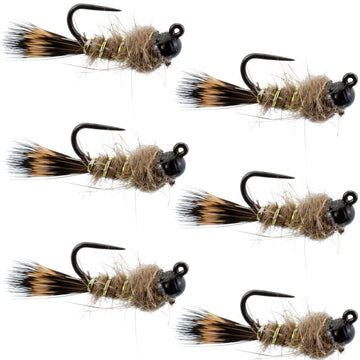 Black Tungsten Bead Tactical Hares Ear Czech Nymph Euro Nymphing Fly - 6 Flies Size 18 - Hazy Fly Fishing