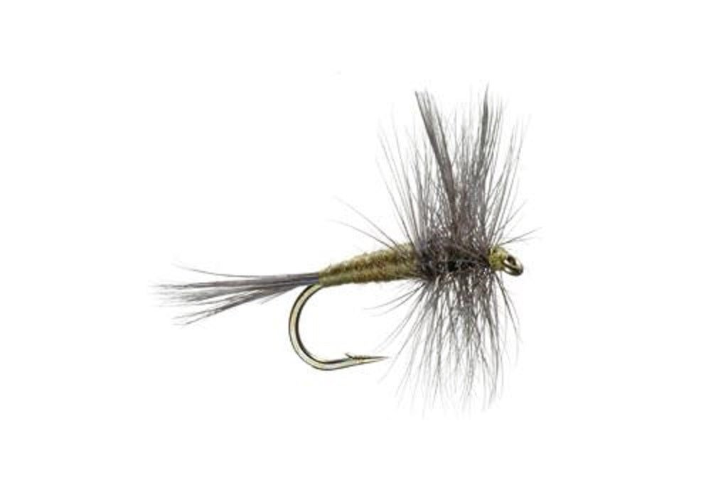 Blue Winged Olive BWO Classic Trout Dry Fly Fishing Flies - Set of 6 Flies Size 14 - Hazy Fly Fishing