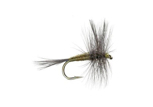 Blue Winged Olive BWO Classic Trout Dry Fly Fishing Flies - Set of 6 Flies Size 18 - Hazy Fly Fishing