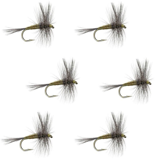 Blue Winged Olive BWO Classic Trout Dry Fly Fishing Flies - Set of 6 Flies Size 20 - Hazy Fly Fishing