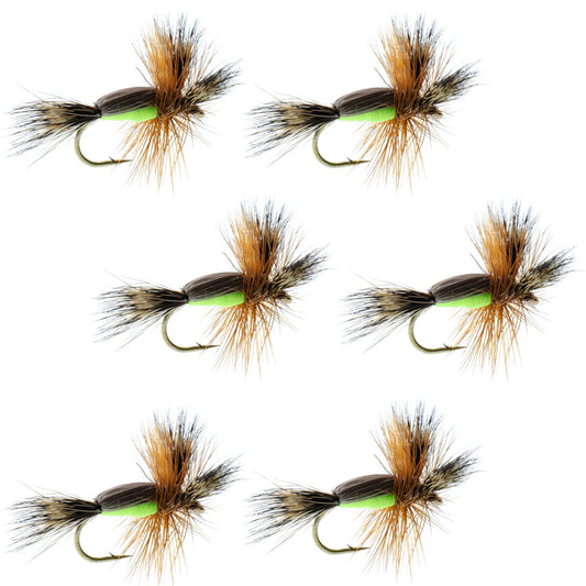 Chartreuse Humpy Classic Hair Wing Dry Fly - 6 Flies Hook Size 16 - Hazy Fly Fishing