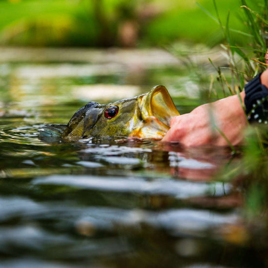 Deer Hair Scruffy Rat 6 Flies Hook Size 2 - Bass Fly Fishing Bug Wide Gape Bass Hooks With Weed Guard - Hazy Fly Fishing