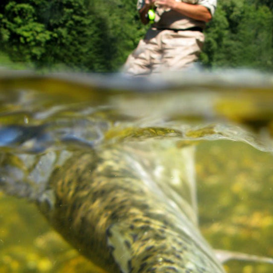 Deer Hair Scruffy Rat 6 Flies Hook Size 2 - Bass Fly Fishing Bug Wide Gape Bass Hooks With Weed Guard - Hazy Fly Fishing