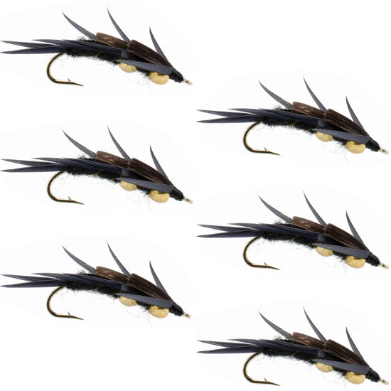 Double Bead Black Stone Fly with Black Biot Legs - Stonefly Wet Fly - 6 Flies Hook Size 8 - Hazy Fly Fishing
