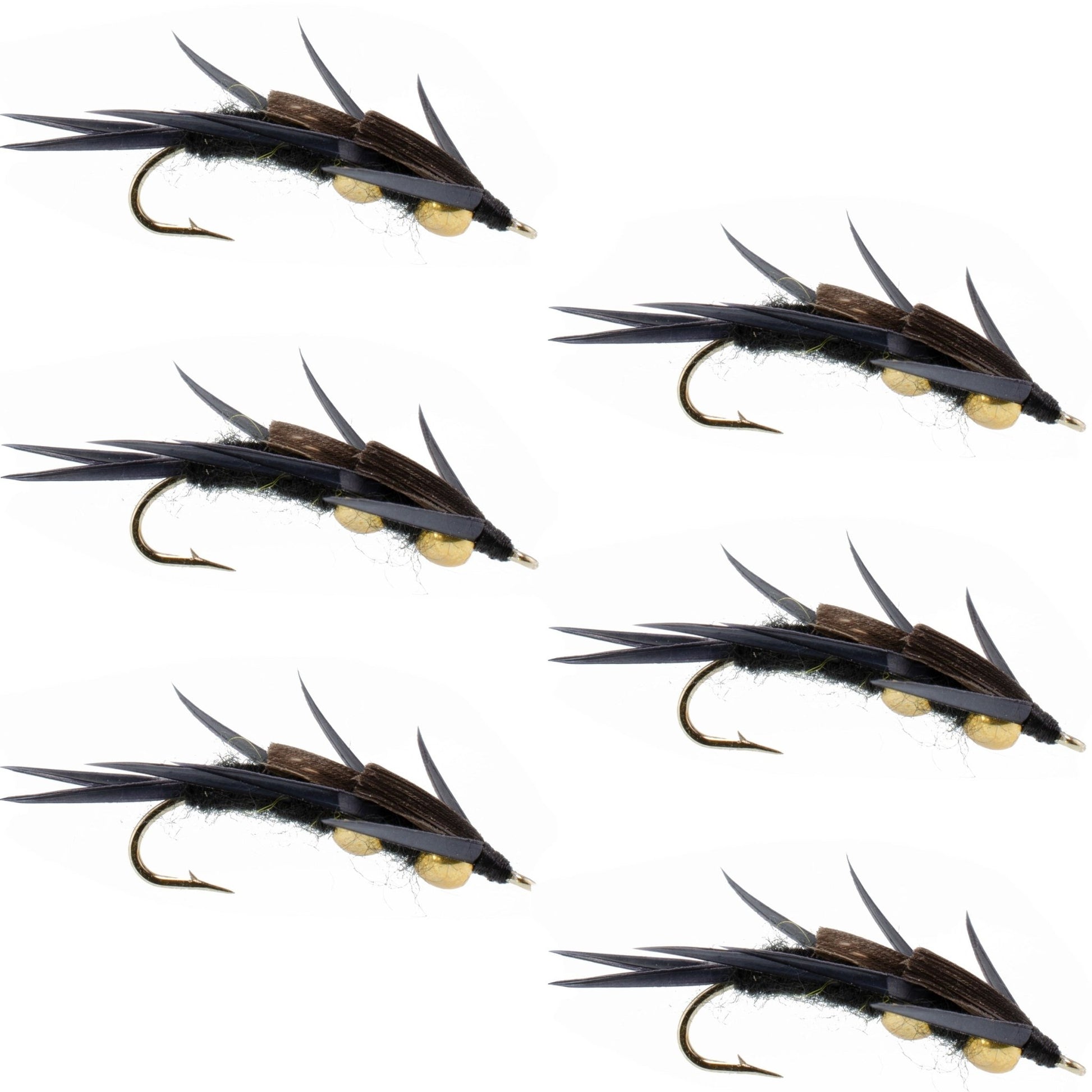 Double Bead Black Stone Fly with Black Biot Legs - Stonefly Wet Fly - 6 Flies Hook Size 8 - Hazy Fly Fishing